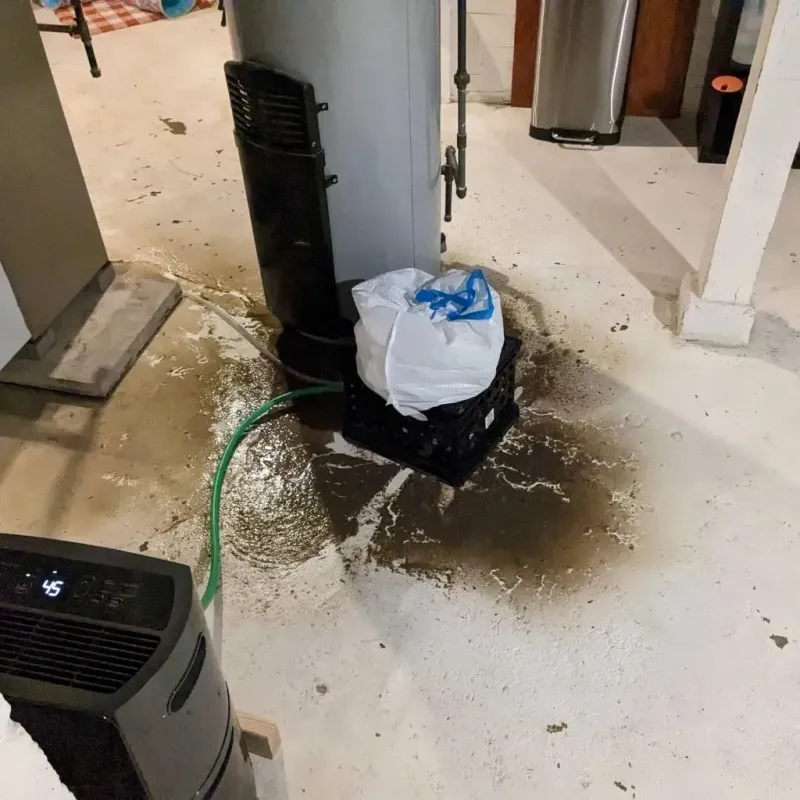 Sewage Backup Cleanup Service in Harrison, NE